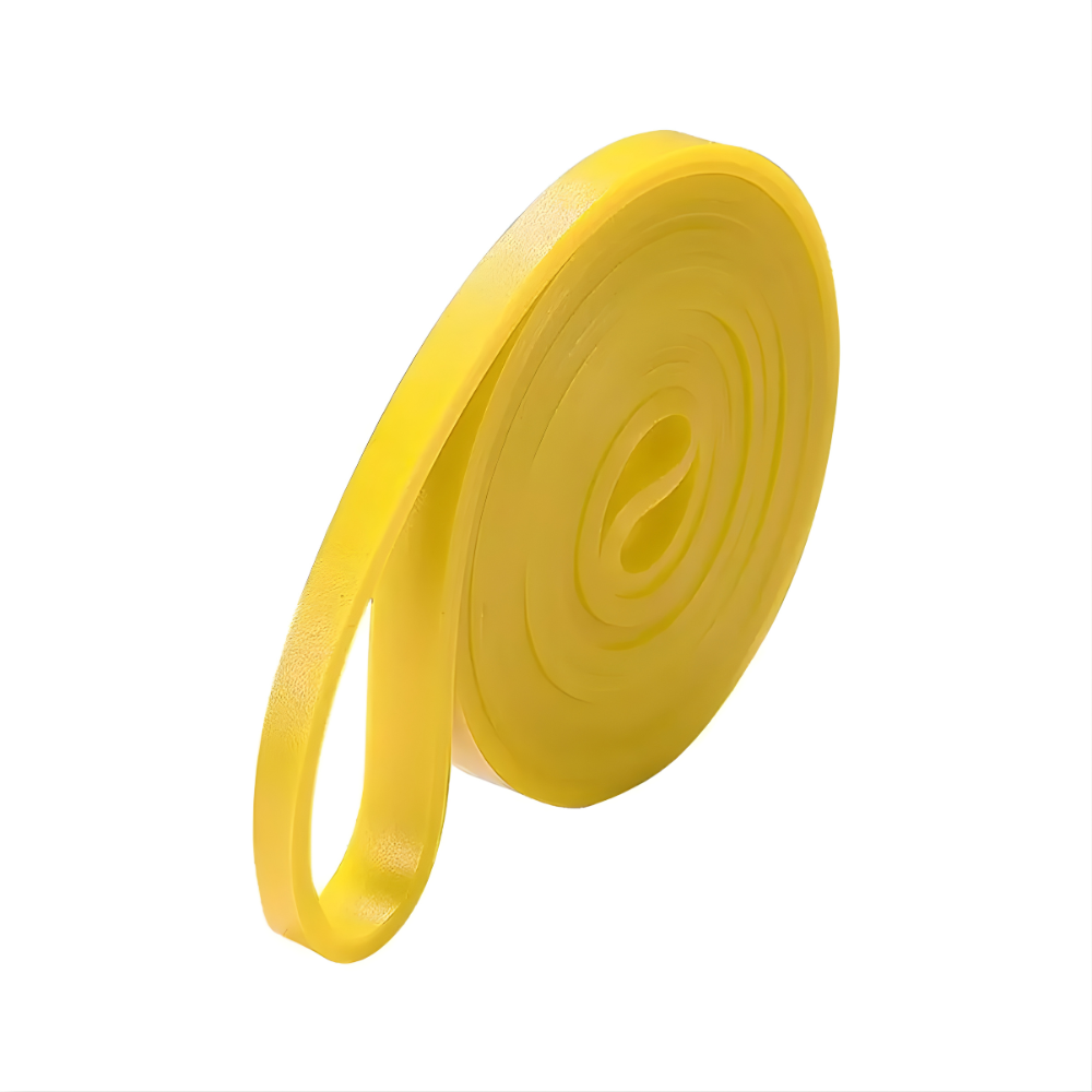 FitBandTM